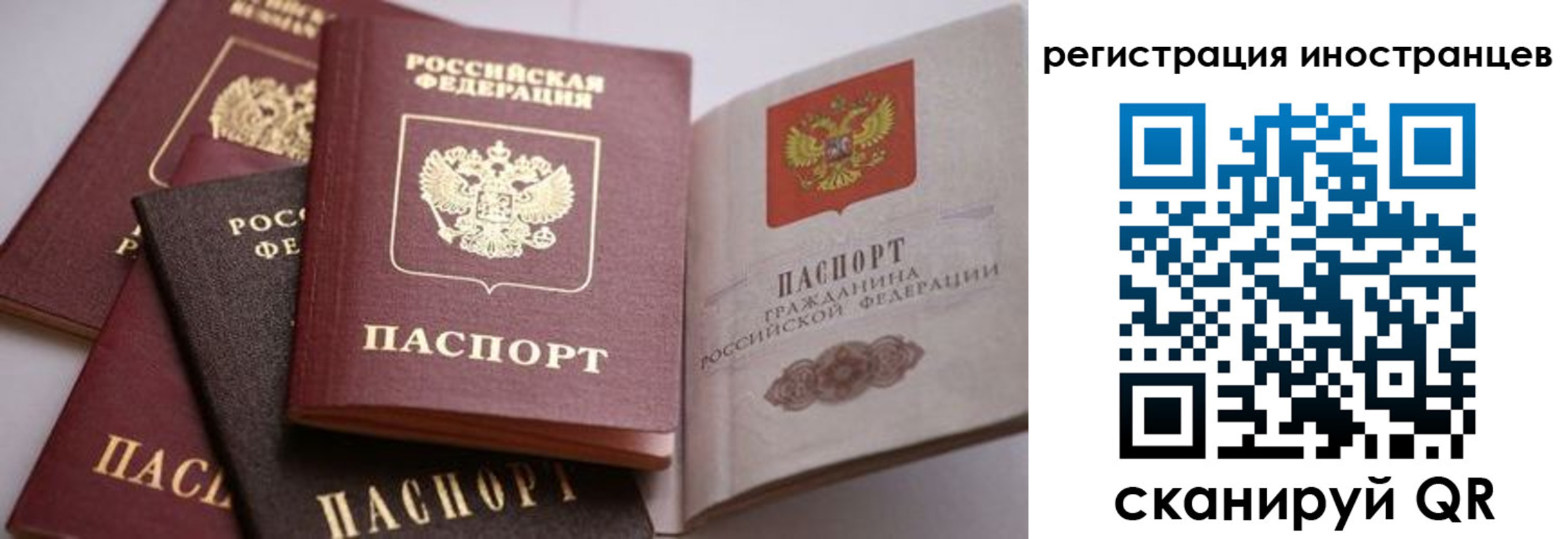 прописка штамп в Борзе