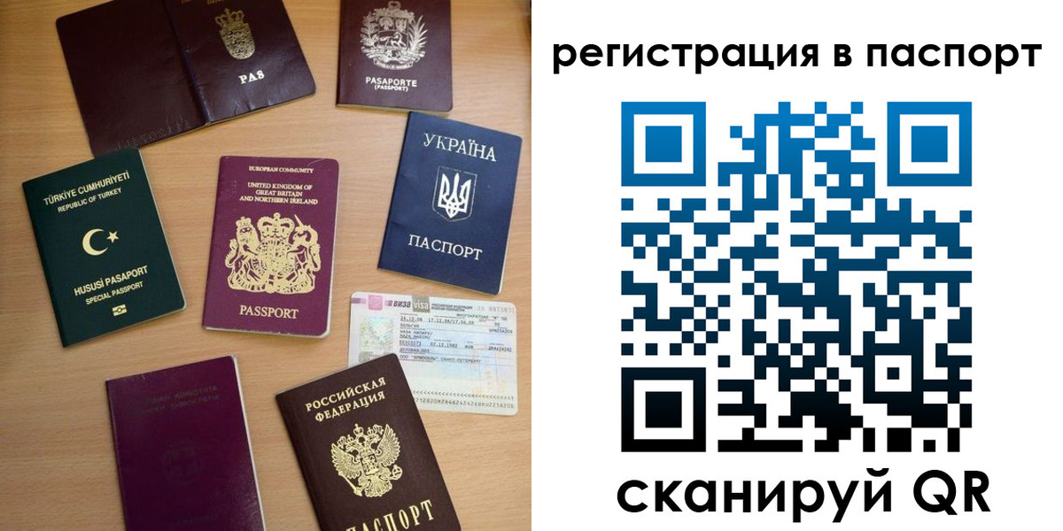 прописка поиск в Борзе